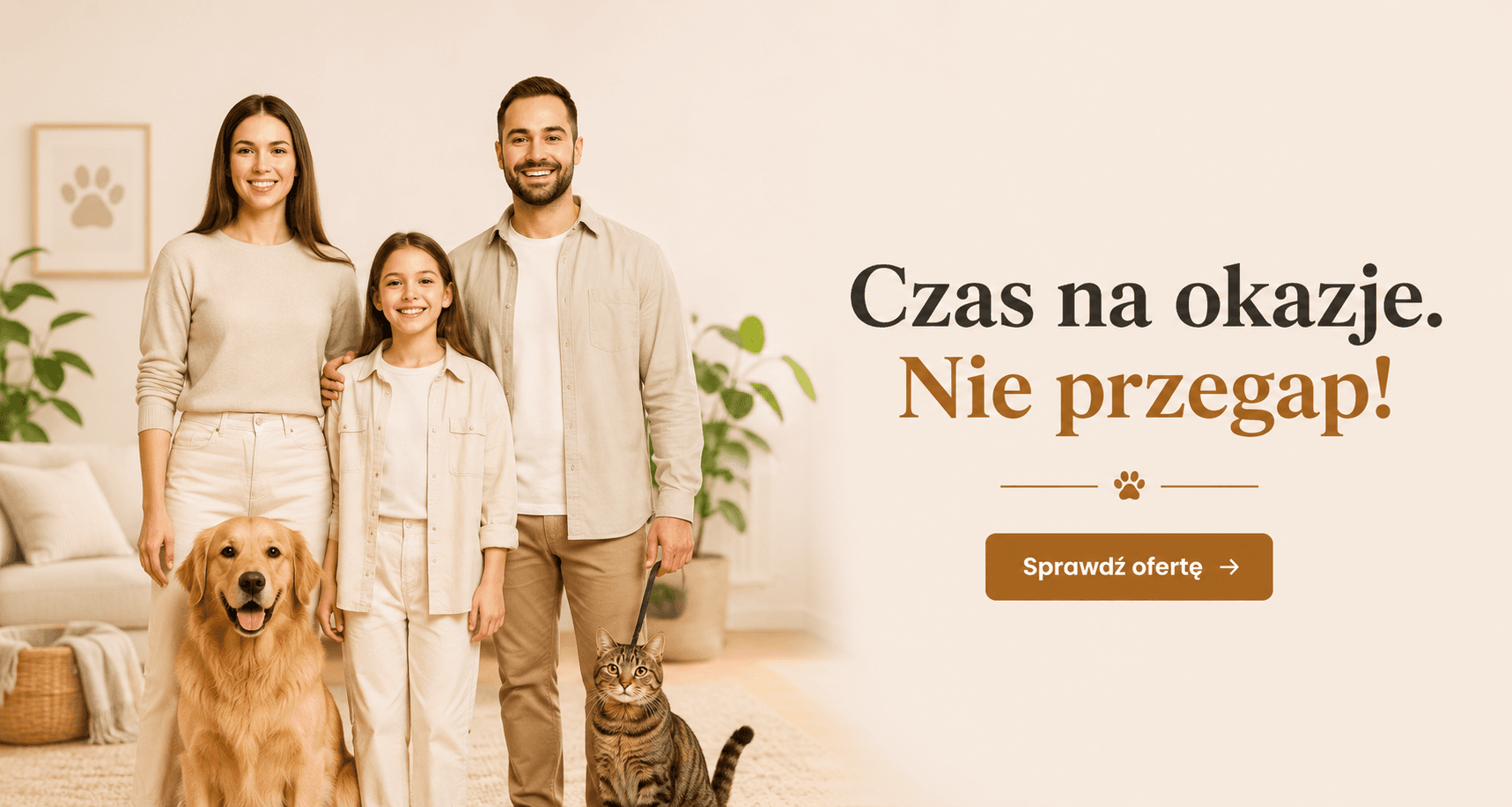 Banner background